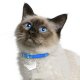 Crown Rhinestone Listed Pet Collar Ornament